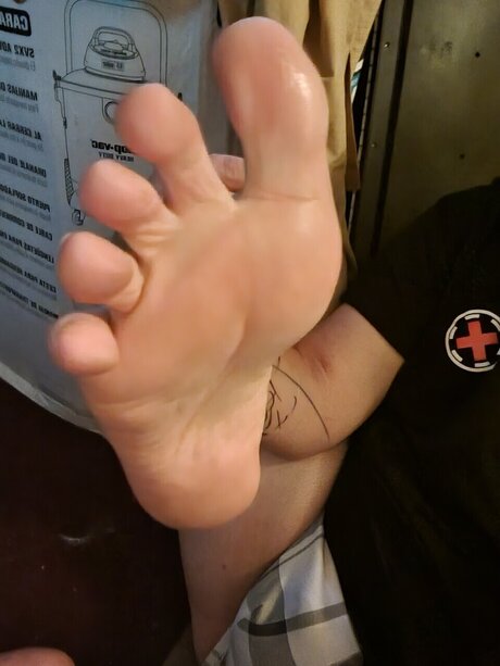 Adammm perfekte freie archiv