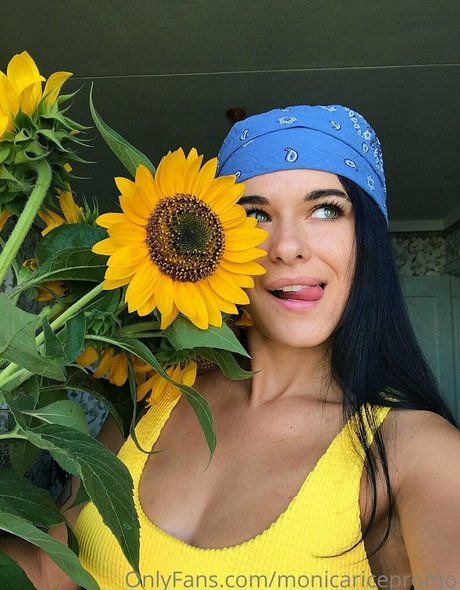 monicaricepromo Profilbild