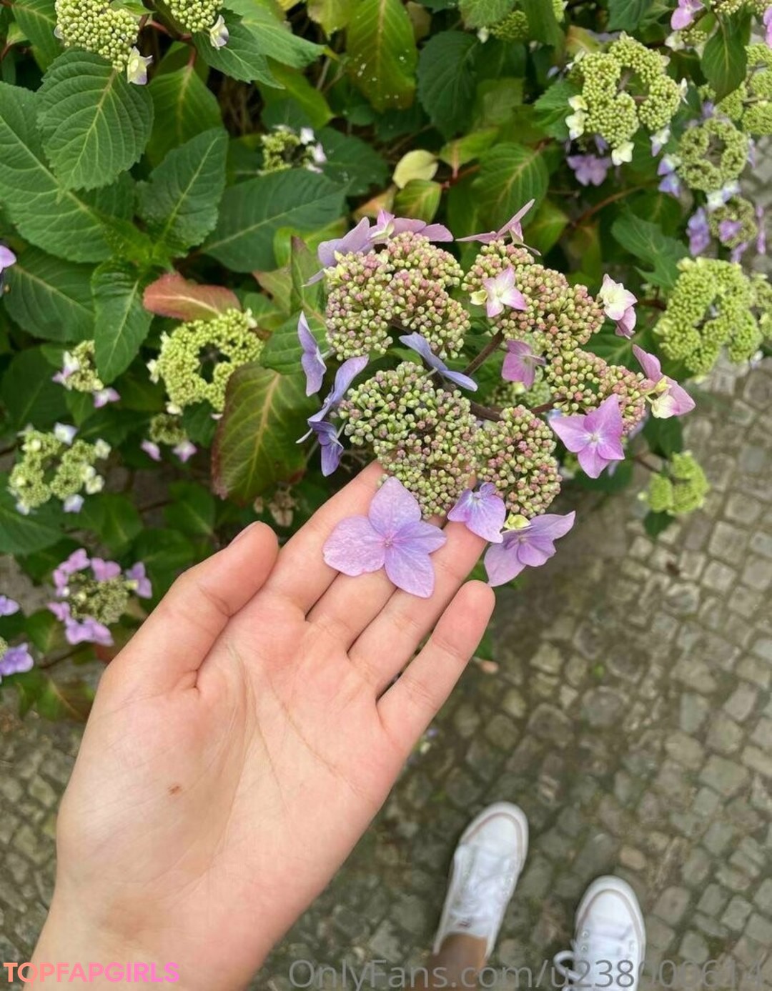 anastasiyan vip nacktheit schöne galerien