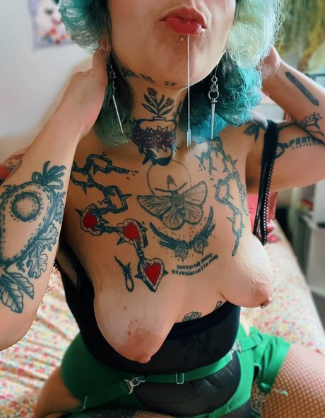 Querosie Querosie Bilder