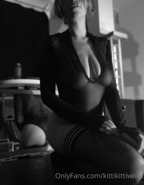 kittiwake kittiwake nacktheit kunst fotos