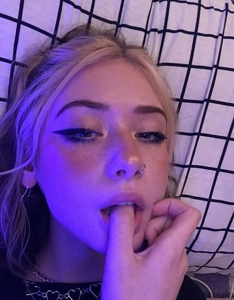 cammie erwachsene top archiv