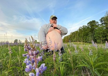 roaminghog kostenlose schöne foto