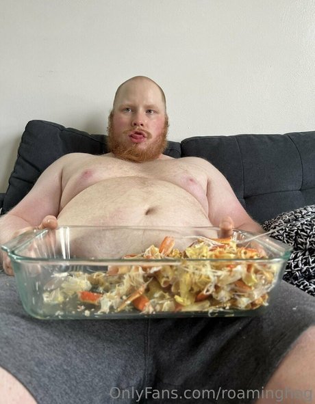 roaminghog erotische akt archiv