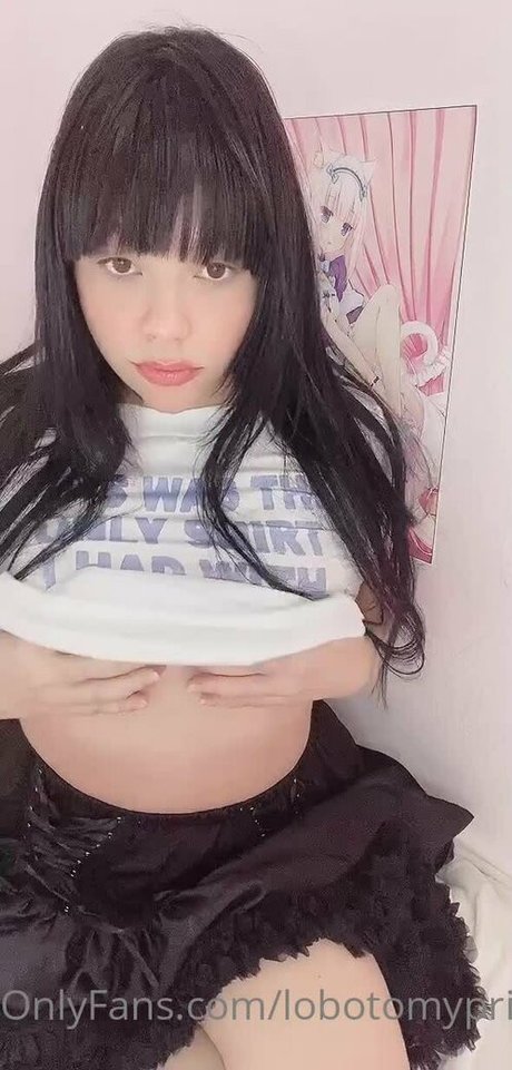 lobotomyprincess perfekte nette archiv