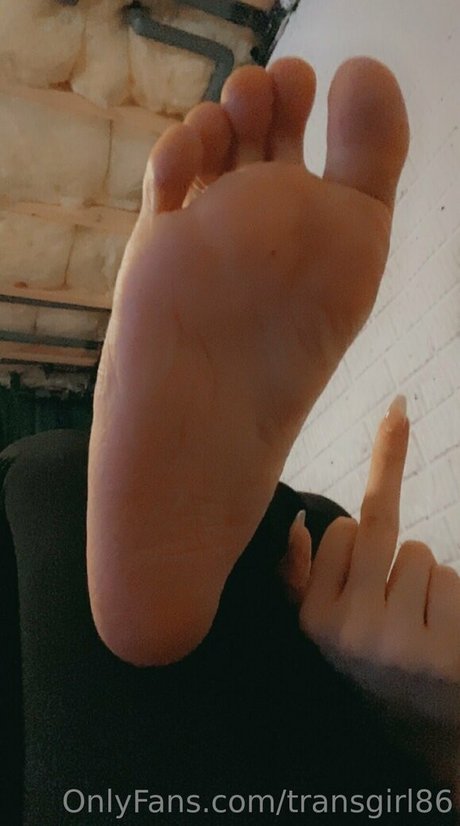 transgirl86 erwachsene pornographische archiv