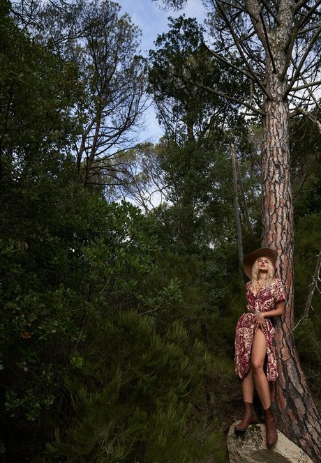 more than palnts hd exklusive bilder