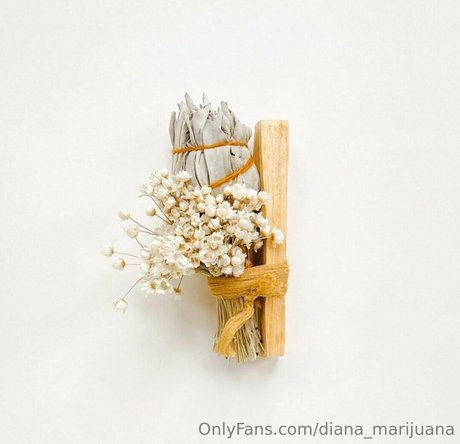 more than palnts top kunst archiv