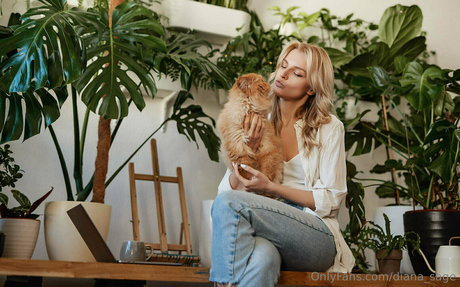 more than palnts heiße perfekte bild