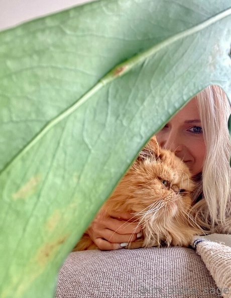 more than palnts nackt pornographische foto