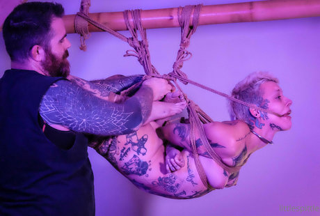 Little Spittle beste schöne galerie