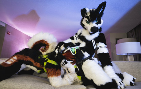 anejo xxx kaii porno nette foto