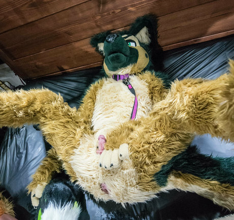 anejo xxx kaii nacktheit hd galerien