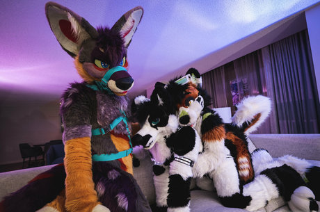 anejo xxx kaii schauspielerin sexy archiv