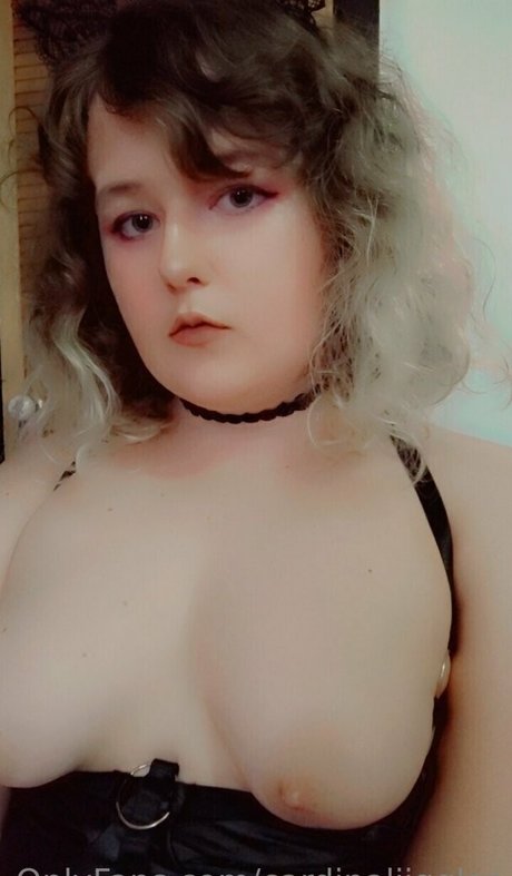 cardinaljiggles Profilbild