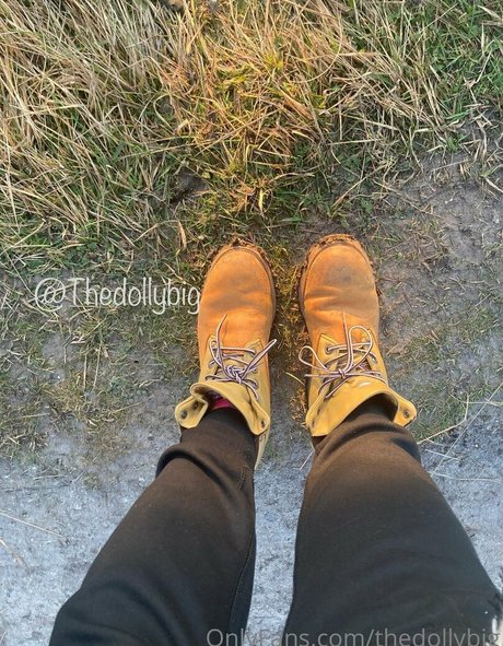 thedollybig Profilbild