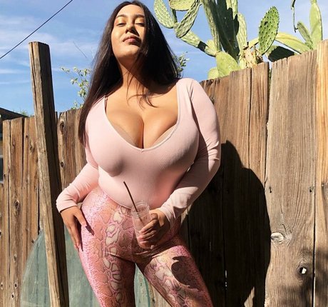 bikini-cowgirl nur fans kunst kostenlose fotos