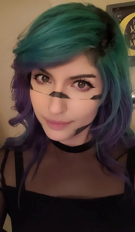kittyrawr top schöne fotos