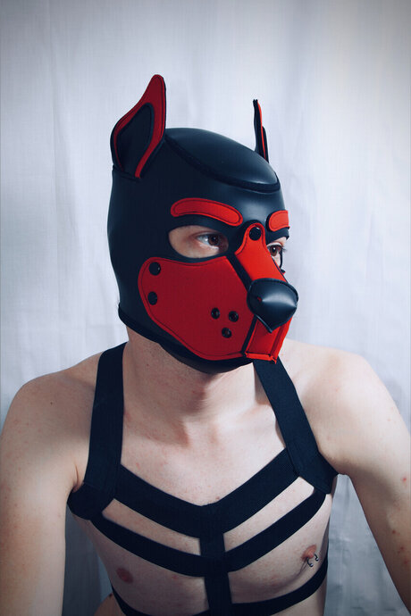 PupJako hübsche nackten bilder