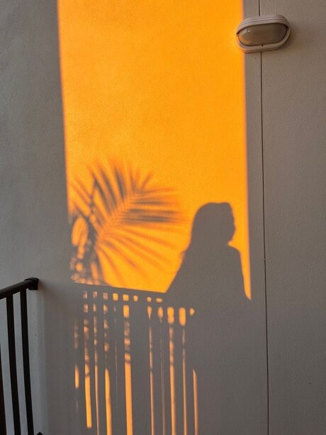 Susan Fox beste perfekte bilder