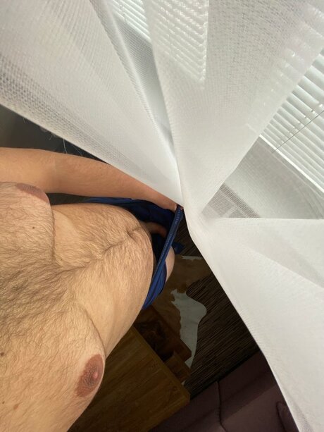 HelloBear top perfekte bild