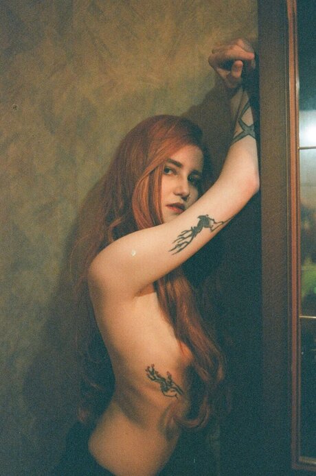 Hidene Walt pornostar kunst foto