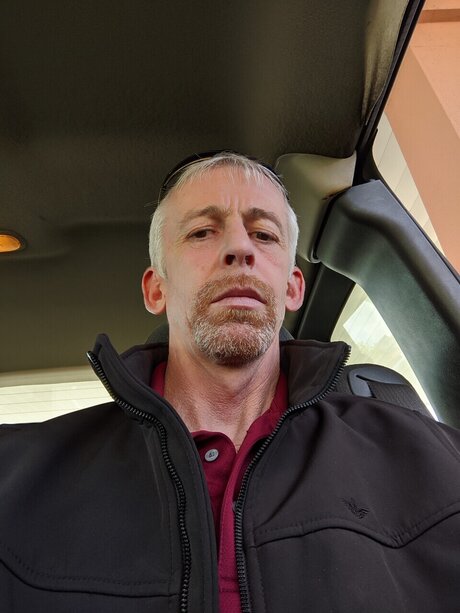 Sir Fox erwachsene kunst fotos