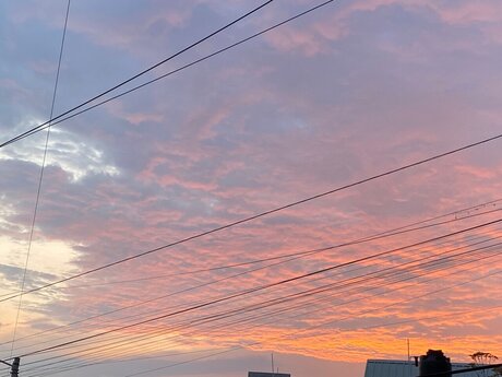 Cutie Foxy nackt beste foto