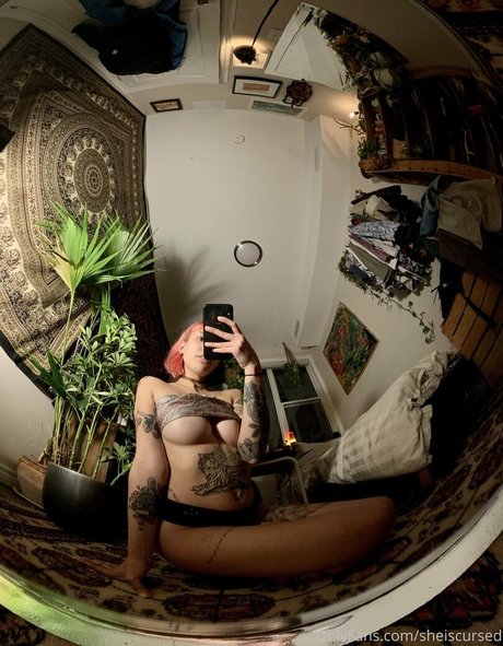 Sheiscursed exklusive top bilder