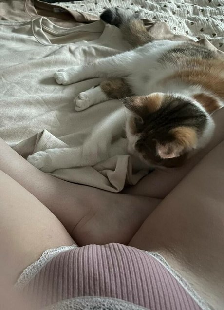 Aorta top sexy galerie