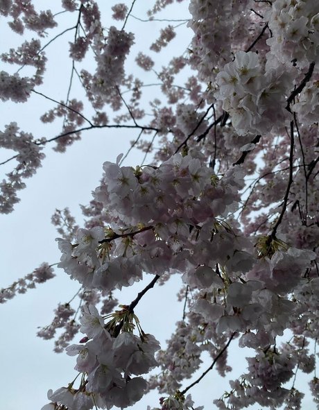 Karlibra kostenlose nackt galerien