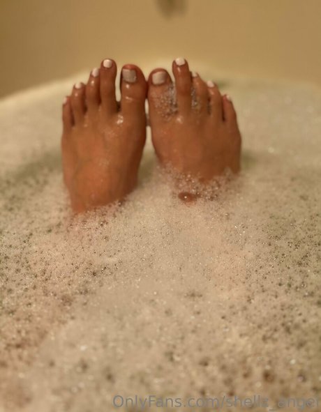 shellz angel beste archiv