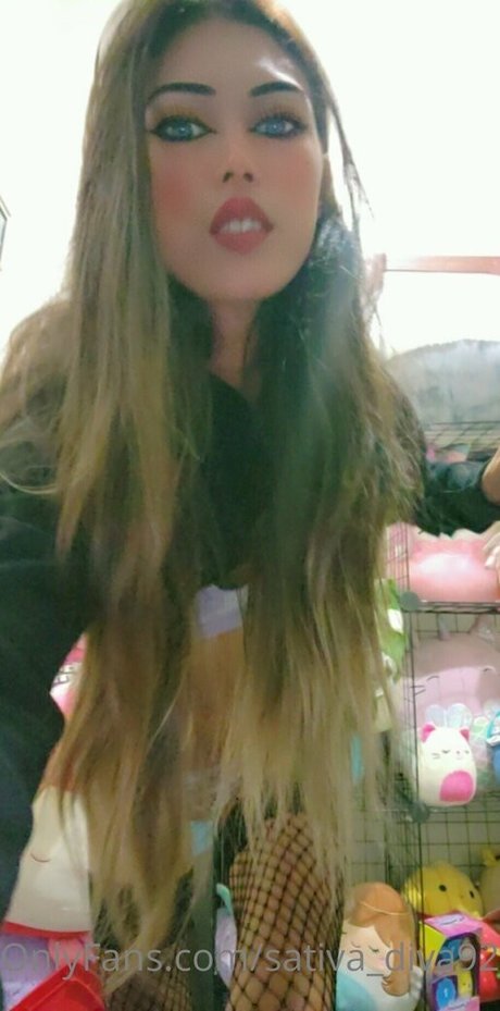 sativa diva92 top beste galerien