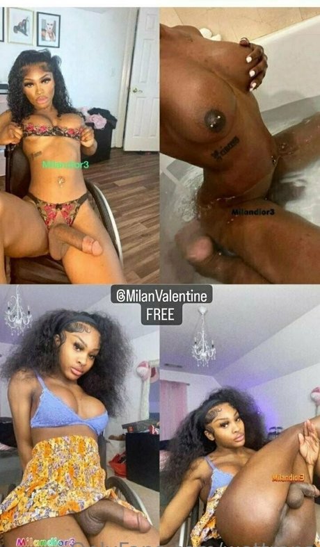 wettrans kunst perfekte galerie