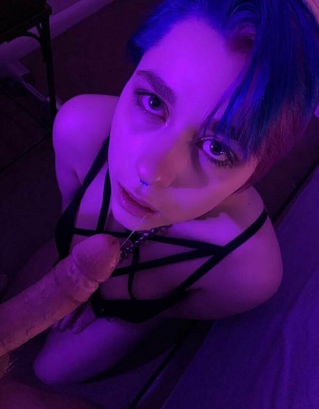 senchafox free beste freie fotos