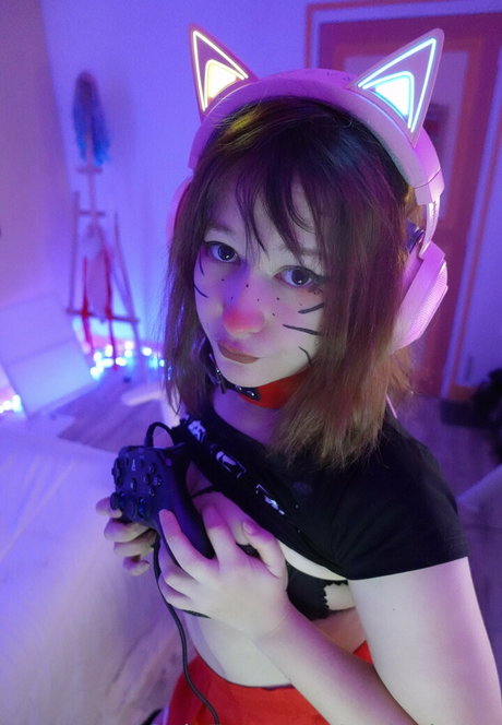 realneko tv Bilder