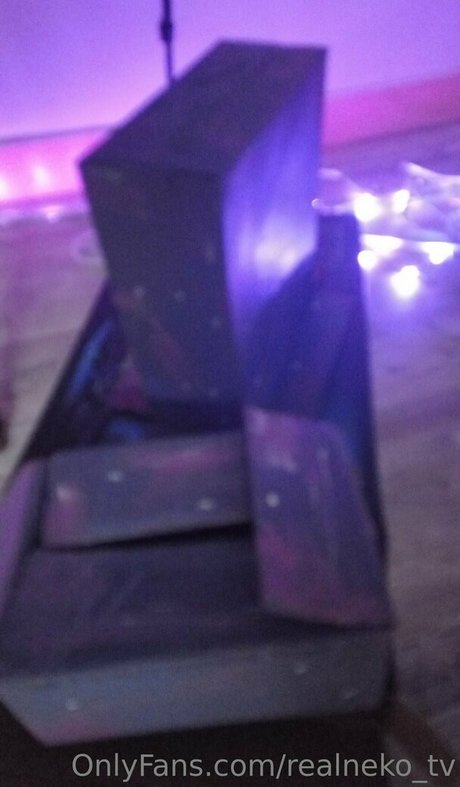 realneko tv freie hd archiv