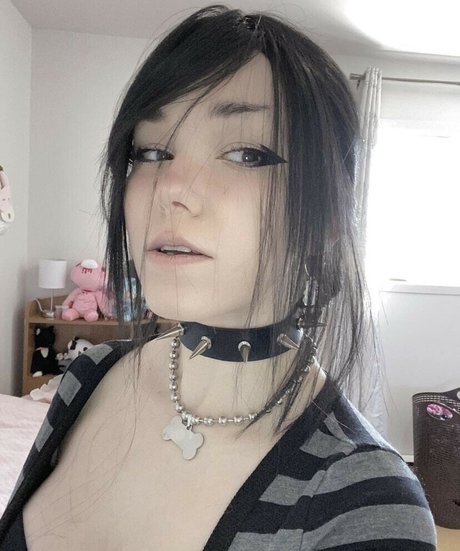 slushsurprise schöne top bild