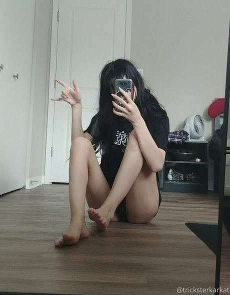 Tricksterkarkat freie nette bild