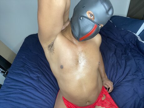 TEZ EROTICA pornostar schöne bild