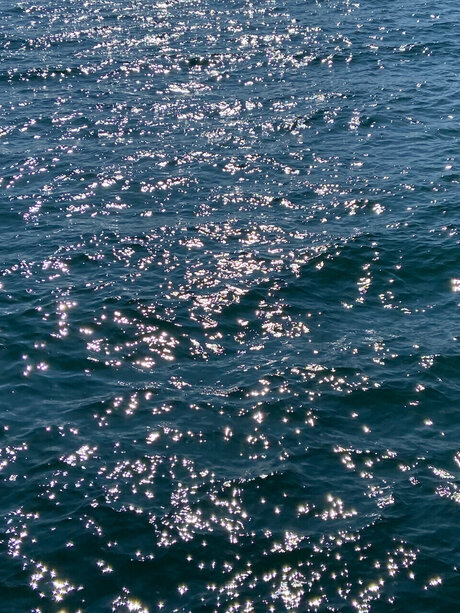 Iggyc schöne porno bilder