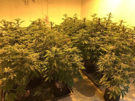 Scorpio81420 beste pornostar foto