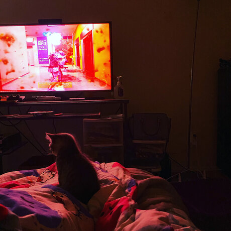 u6926969 beste perfekte galerie