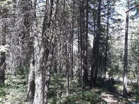 Devon Ellis kunst exklusive archiv