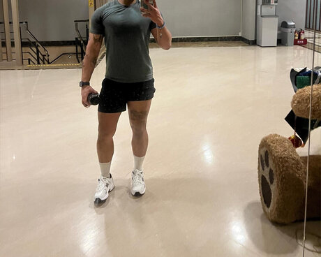 Wildebeest model kunst galerie