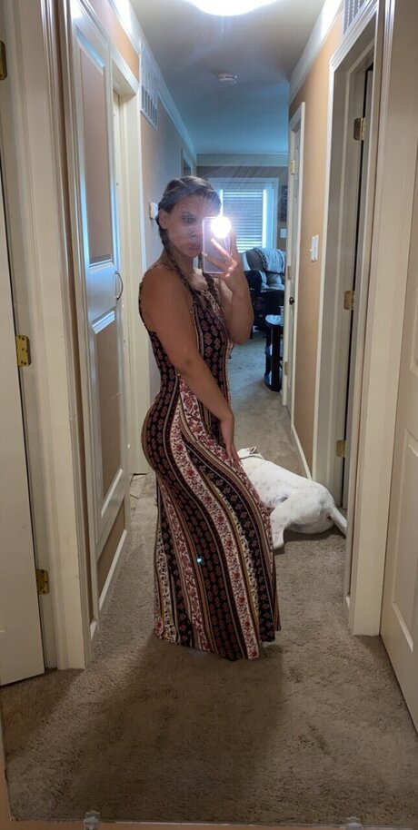 Shelbs_ kostenlose archiv