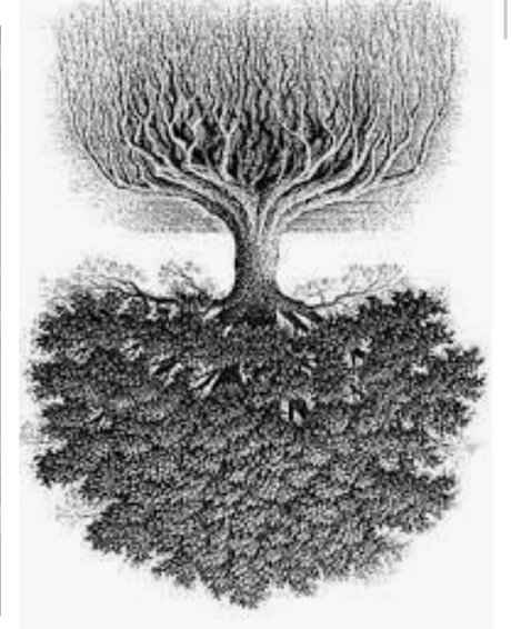 WIZ sexy exklusive foto