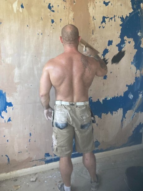 Salix perfekte beste galerien