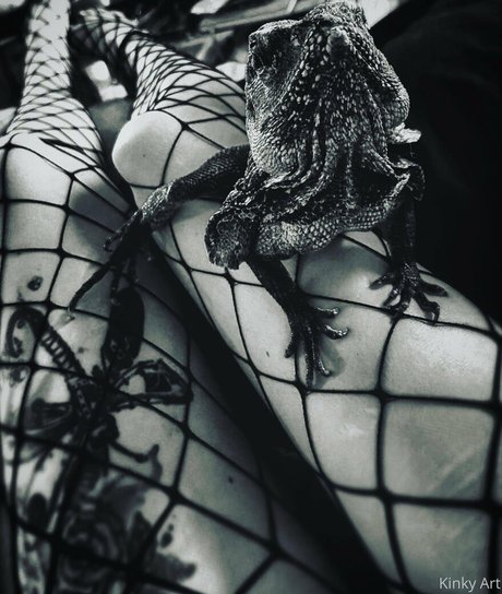 artnvenom hd exklusive bild