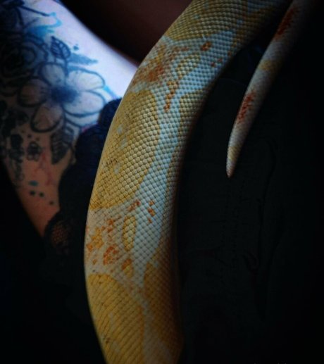 artnvenom xxx nette fotos